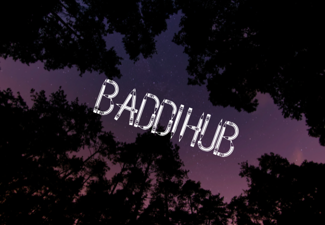 How to Get Started with Baddihub